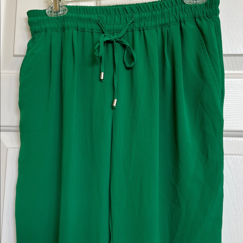 Zara basic pants - Picture 2 of 12